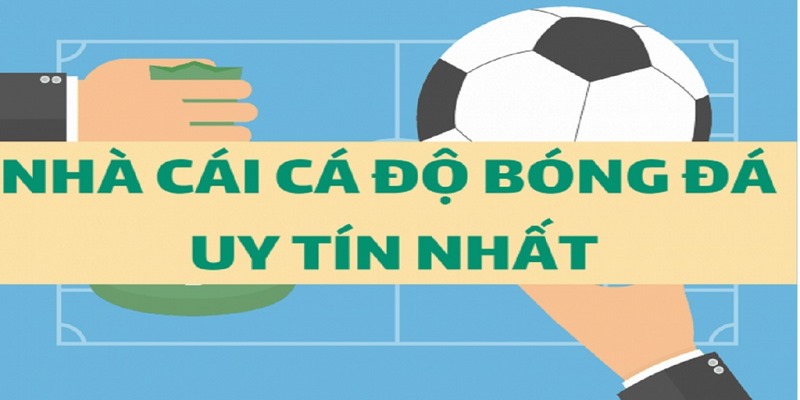 Nhà Cái Uy Tín_Trang cá cược bóng đá Uy Tín, Xanh Chín Nhất 2024